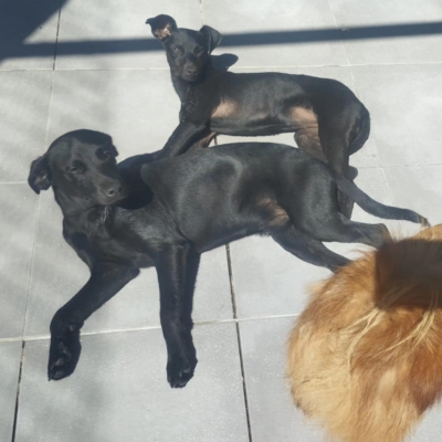 PHOTO-2026-04-25-09-55-43 4