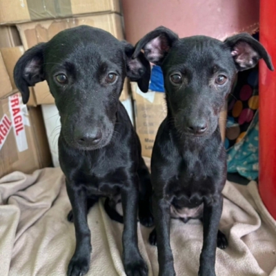 PHOTO-2026-04-25-09-55-43