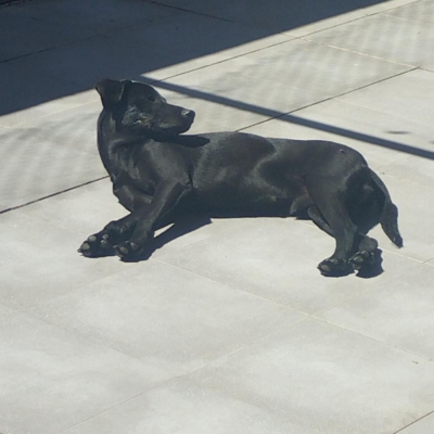 PHOTO-2026-04-25-09-55-43 5