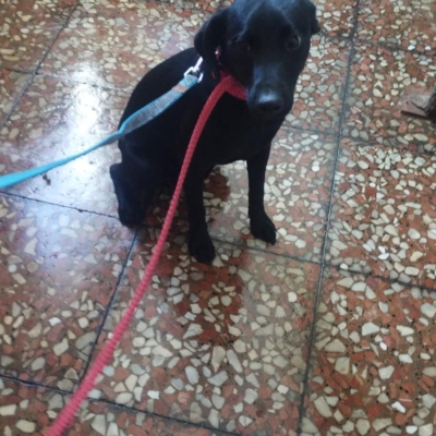 PHOTO-2026-04-25-09-55-43 6