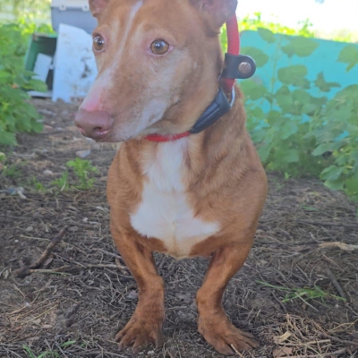 PHOTO-2026-04-25-09-59-41 2