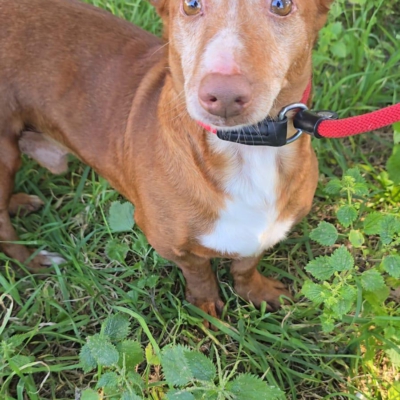 PHOTO-2026-04-25-09-59-41 3