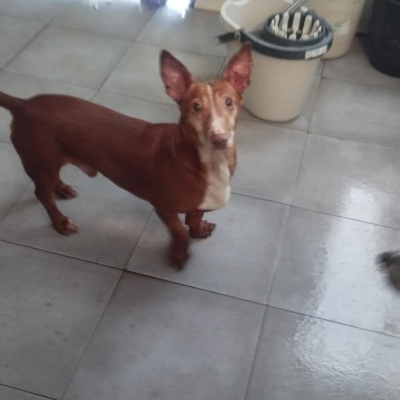 PHOTO-2026-04-25-09-59-41 4