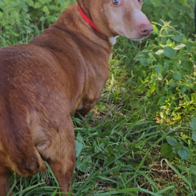 PHOTO-2026-04-25-09-59-41