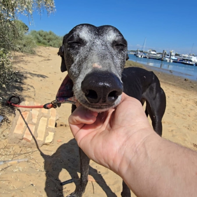 PHOTO-2026-04-25-18-46-34 2