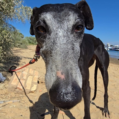 PHOTO-2026-04-25-18-46-34 3