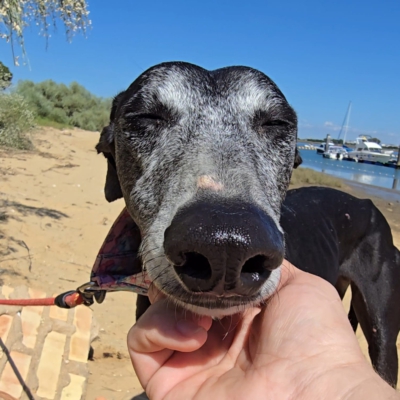 PHOTO-2026-04-25-18-46-34