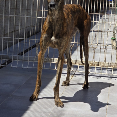 PHOTO-2026-04-25-19-04-36