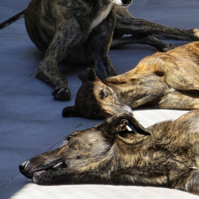 PHOTO-2026-04-25-19-04-37 2