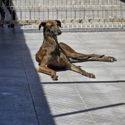 PHOTO-2026-04-25-19-04-37 3