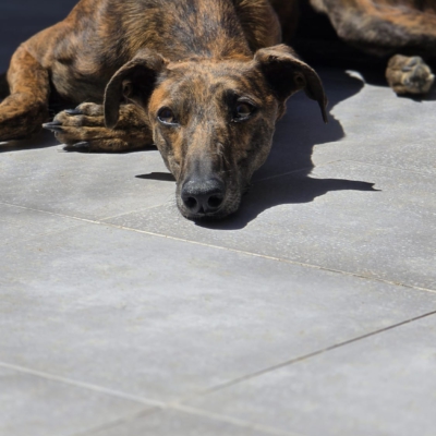 PHOTO-2026-04-25-19-04-37