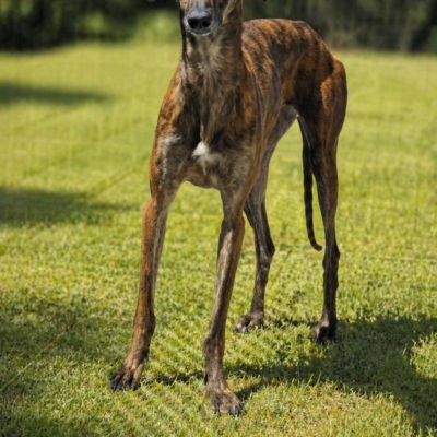 PHOTO-2026-04-25-19-15-56