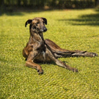 PHOTO-2026-04-25-19-18-12