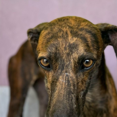 PHOTO-2026-04-25-19-53-51