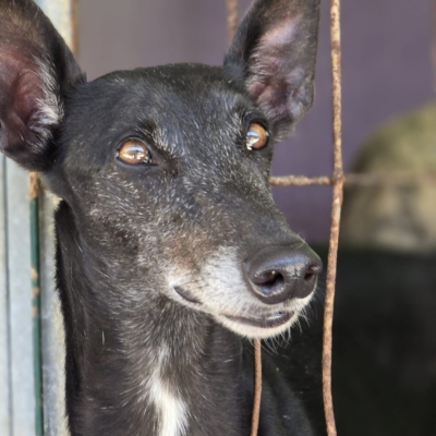 PHOTO-2026-04-25-20-03-58 2