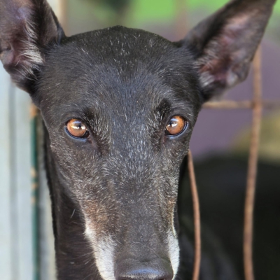 PHOTO-2026-04-25-20-03-58 3