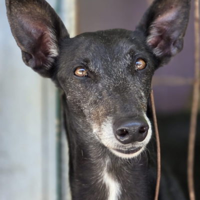 PHOTO-2026-04-25-20-03-58 4