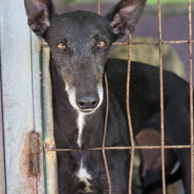 PHOTO-2026-04-25-20-03-58