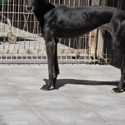 PHOTO-2026-04-25-20-03-59 2