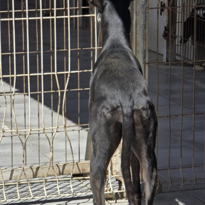 PHOTO-2026-04-25-20-03-59