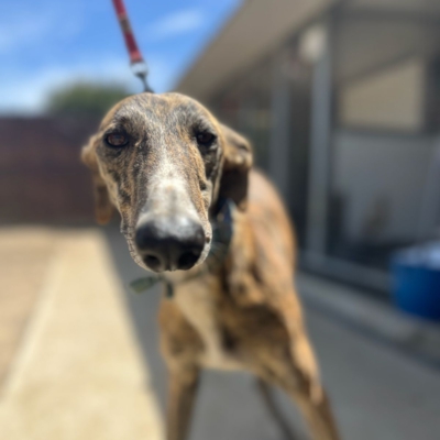 PHOTO-2026-04-25-20-05-12 2