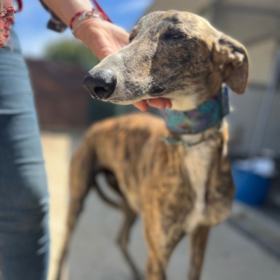 PHOTO-2026-04-25-20-05-12 3