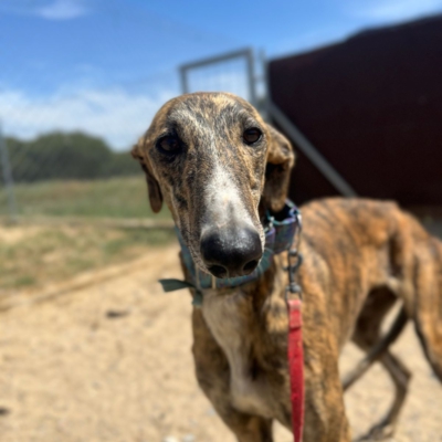 PHOTO-2026-04-25-20-05-12 4