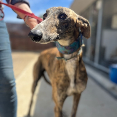 PHOTO-2026-04-25-20-05-12