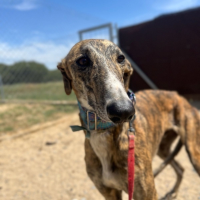 PHOTO-2026-04-25-20-05-12 5