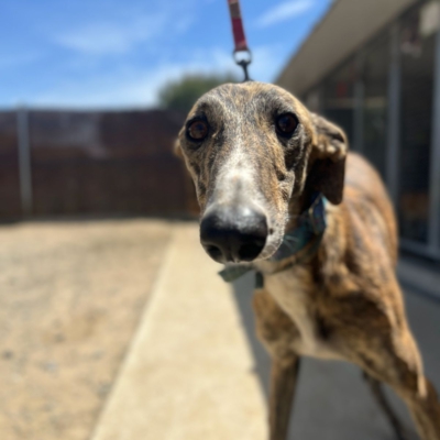 PHOTO-2026-04-25-20-05-12 6