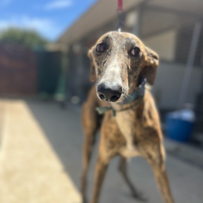 PHOTO-2026-04-25-20-05-12 7