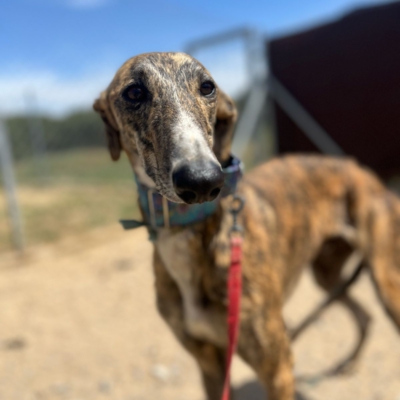 PHOTO-2026-04-25-20-05-12 8