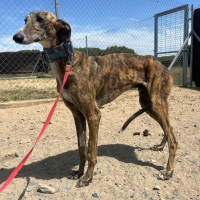 PHOTO-2026-04-25-20-05-12 9