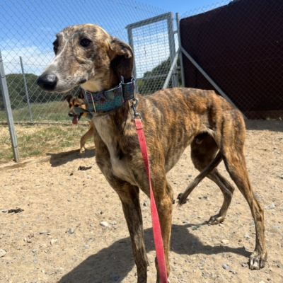 PHOTO-2026-04-25-20-05-13 2