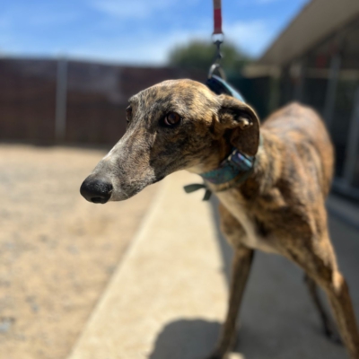 PHOTO-2026-04-25-20-05-13 3