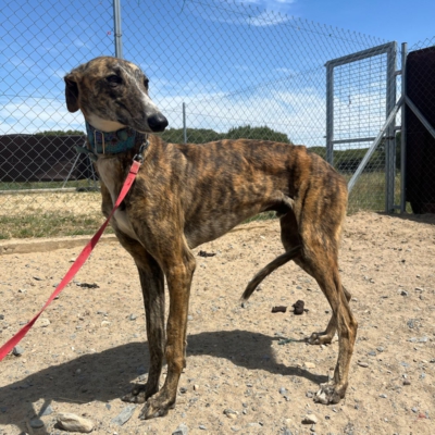 PHOTO-2026-04-25-20-05-13 4