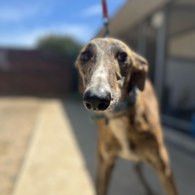 PHOTO-2026-04-25-20-05-13