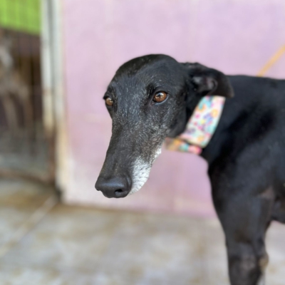 PHOTO-2026-04-25-20-11-04 2