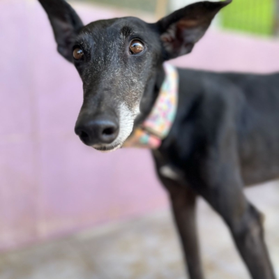 PHOTO-2026-04-25-20-11-04 3