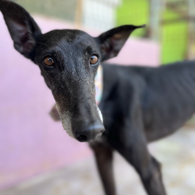 PHOTO-2026-04-25-20-11-04 4