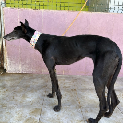 PHOTO-2026-04-25-20-11-04