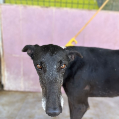 PHOTO-2026-04-25-20-11-04 5