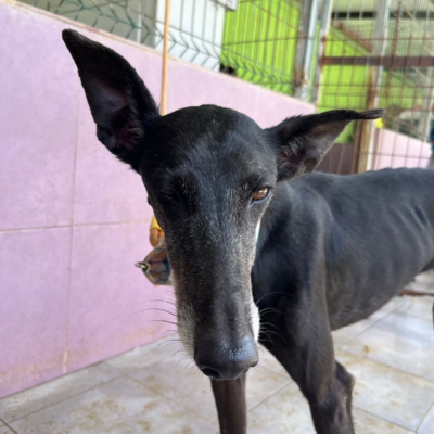 PHOTO-2026-04-25-20-11-04 6