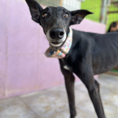 PHOTO-2026-04-25-20-11-04 7