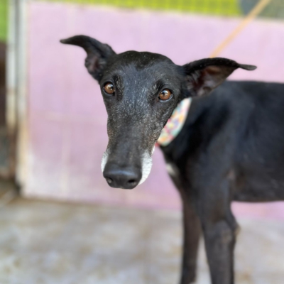 PHOTO-2026-04-25-20-11-04 8