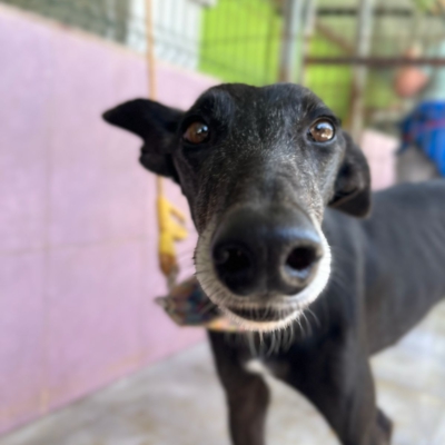 PHOTO-2026-04-25-20-11-04 9