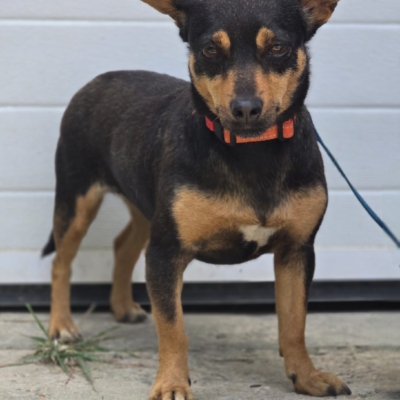 PHOTO-2026-04-26-18-46-05 2