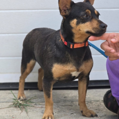 PHOTO-2026-04-26-18-46-05 3