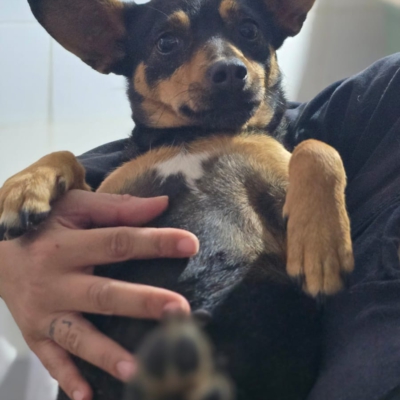 PHOTO-2026-04-26-18-46-05 4