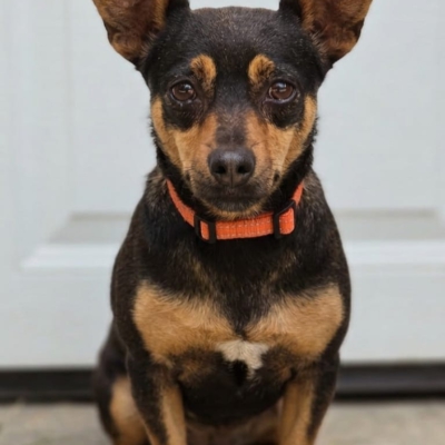 PHOTO-2026-04-26-18-46-05